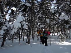 然別湖の森を歩く人