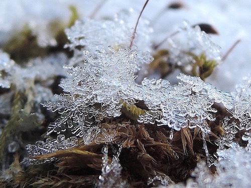 雪の結晶のアップ写真