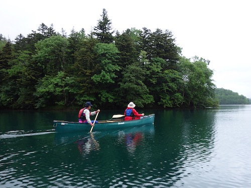 新緑の森に囲まれた湖で漕ぐ様子を写したツアー写真