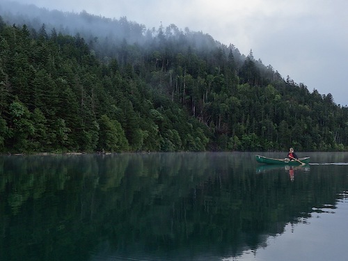 深緑色の森を背景に進むカヌーを写したツアー写真