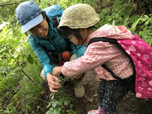 気になるものを発見した子供とガイドの写真