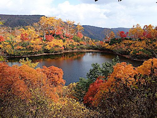 紅葉の高原沼の写真