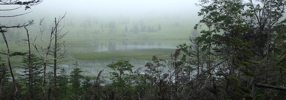 霧が晴れてきた東雲湖